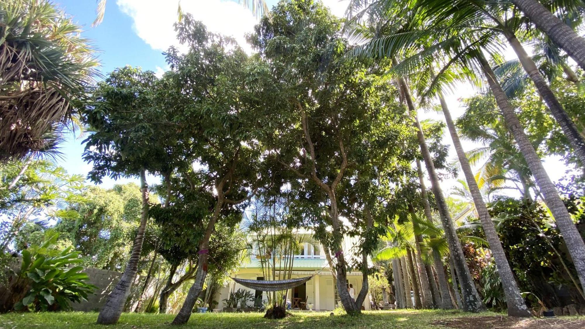 Coliver - Coliving A La Reunion Saint Pierre Exterior foto