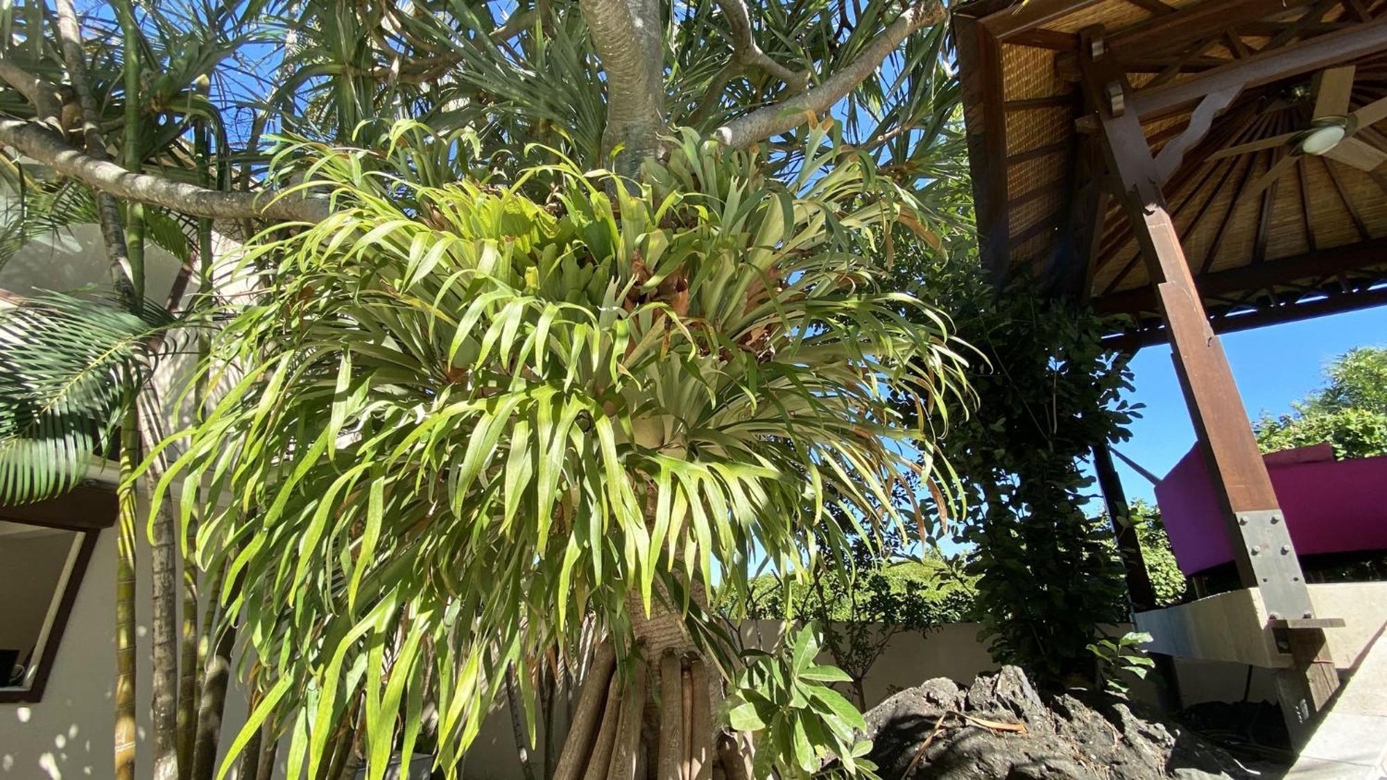 Coliver - Coliving A La Reunion Saint Pierre Exterior foto